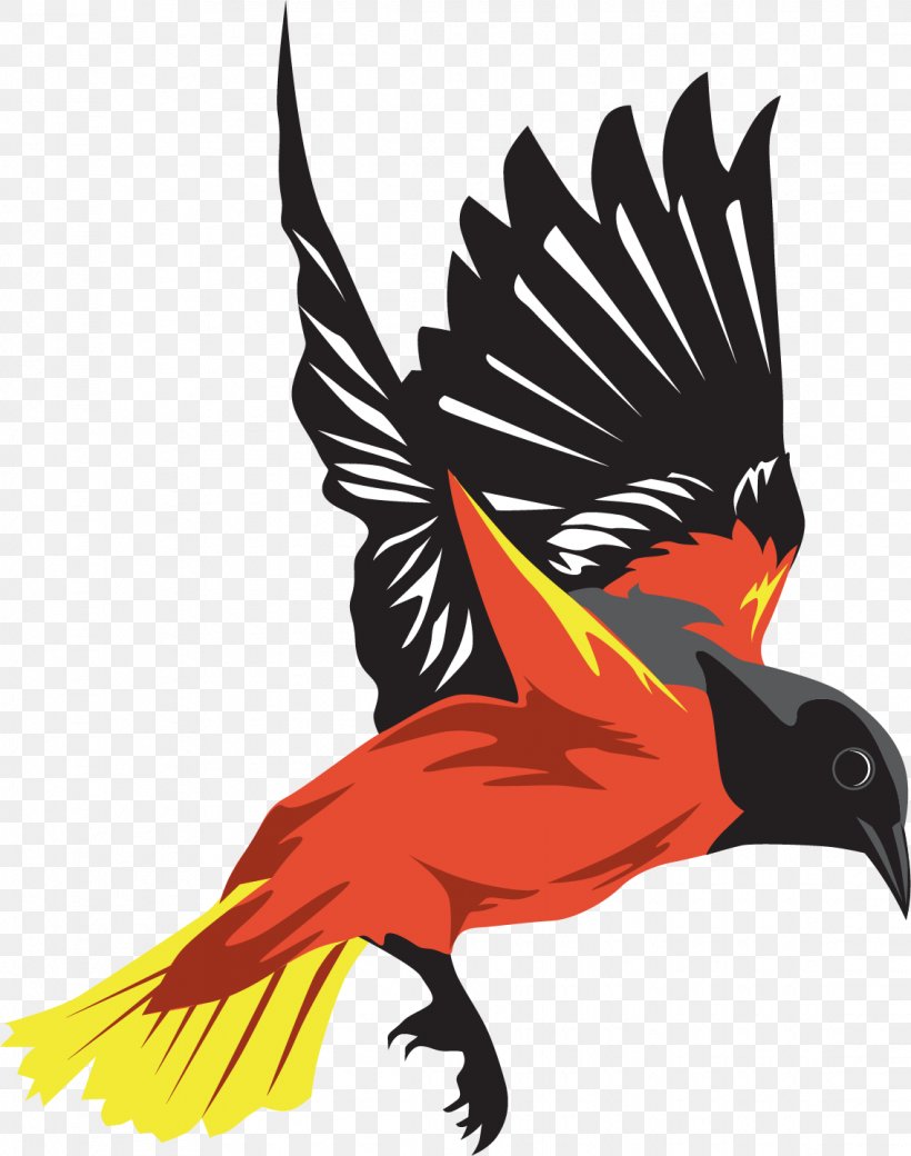 Bird Flight Bird Flight Wing, PNG, 1135x1440px, Bird, Art, Beak, Bird Flight, Bird Nest Download Free