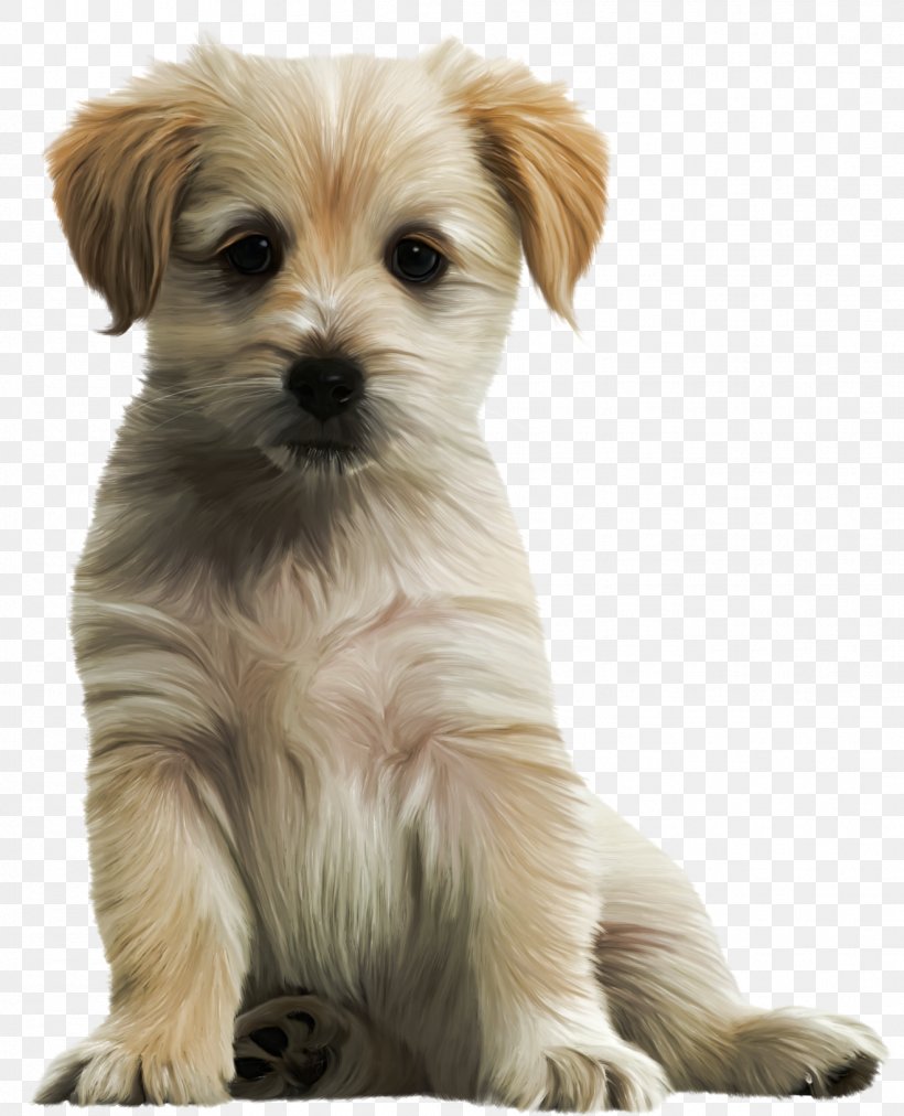 Labrador Retriever Puppy Clip Art, PNG, 1319x1628px, Labrador Retriever, Animal, Bolonka, Carnivoran, Chinese Imperial Dog Download Free
