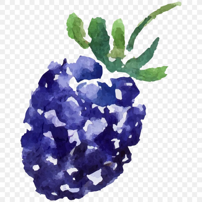 Mulberry Image Fruit, PNG, 1150x1150px, Mulberry, Blackberry, Blue, Cobalt Blue, Designer Download Free