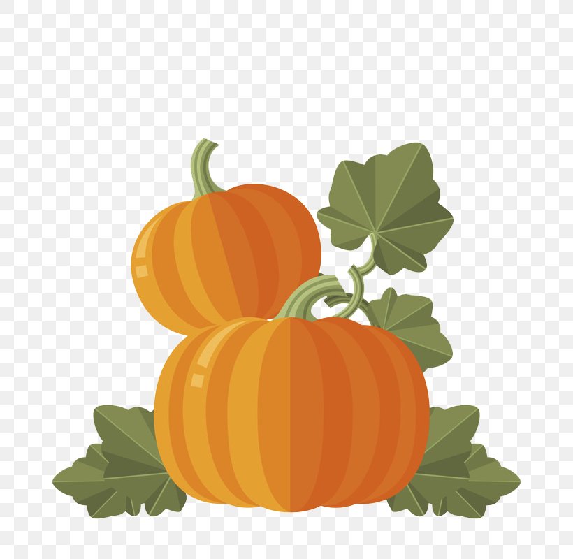 Pumpkin Calabaza Cucurbita Maxima Gourd Winter Squash, PNG, 800x800px, Pumpkin, Calabaza, Cucumber Gourd And Melon Family, Cucurbita, Cucurbita Maxima Download Free