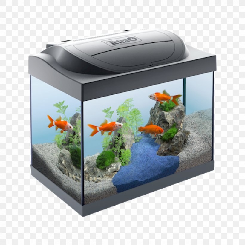 Aquarium Tetra Goldfish Light-emitting Diode Pet, PNG, 1200x1200px, Aquarium, Air Pump, Airstone, Aquarium Filters, Fish Download Free