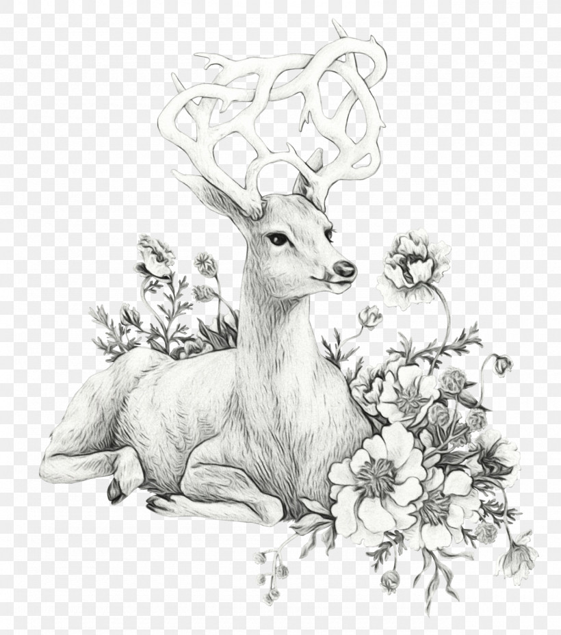 Deer Wildlife Drawing Roe Deer Line Art, PNG, 1280x1449px, Watercolor, Antelope, Coloring Book, Deer, Drawing Download Free