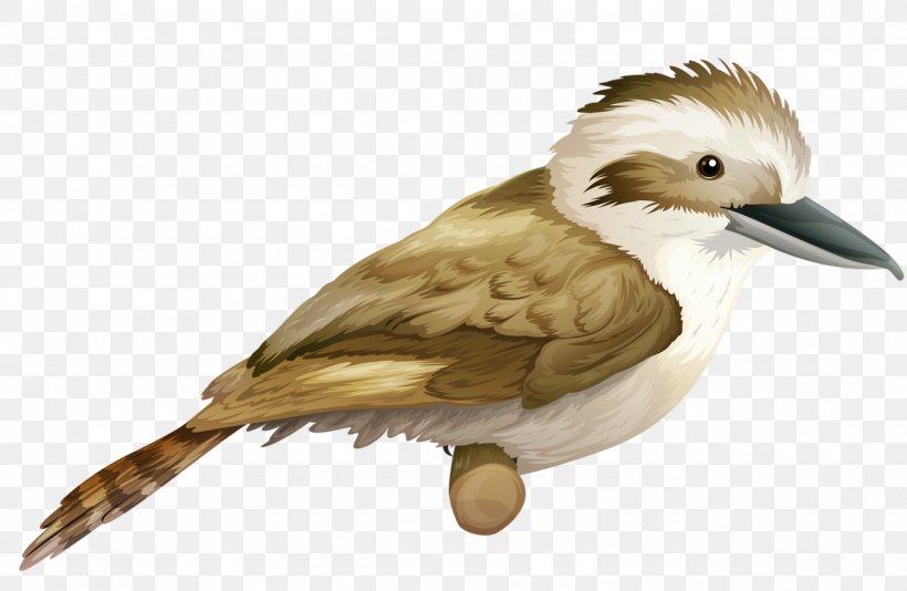 Laughing Kookaburra Royalty-free Clip Art, PNG, 1280x835px, Laughing Kookaburra, Art, Beak, Bird, Ducks Geese And Swans Download Free