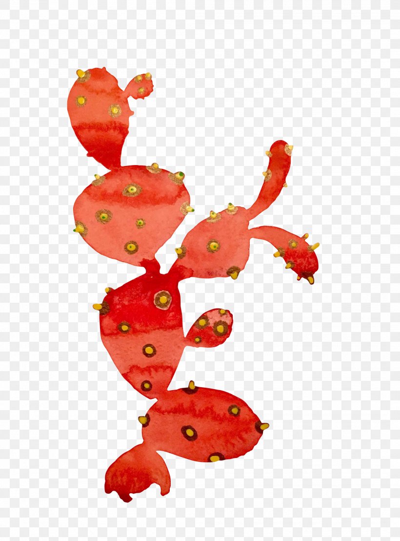 Strawberry Flowering Plant Fruit, PNG, 2116x2861px, Strawberry, Baby Toys, Flowering Plant, Fruit, Infant Download Free