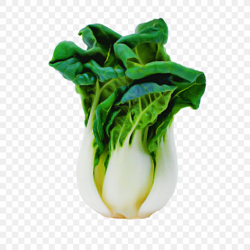 Vegetable Leaf Vegetable Green Leaf Food, PNG, 1024x1024px, Vegetable, Flower, Food, Green, Leaf Download Free