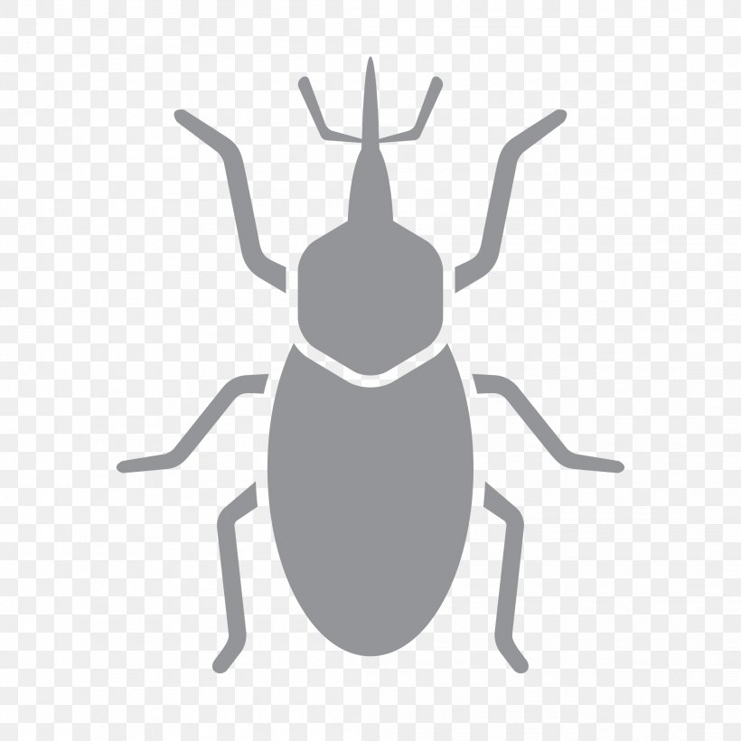Pest Control Insect Bed Bug Hornet, PNG, 2083x2083px, 1st Pest Control, Pest, Animal, Arthropod, Bed Bug Download Free