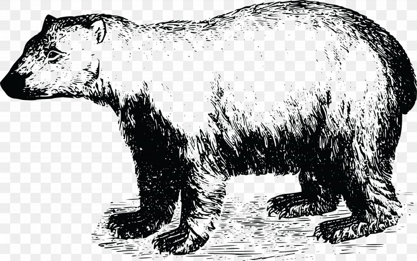 Polar Bear Brown Bear Clip Art, PNG, 4000x2512px, Bear, Animal, Animal Figure, Black And White, Brown Bear Download Free