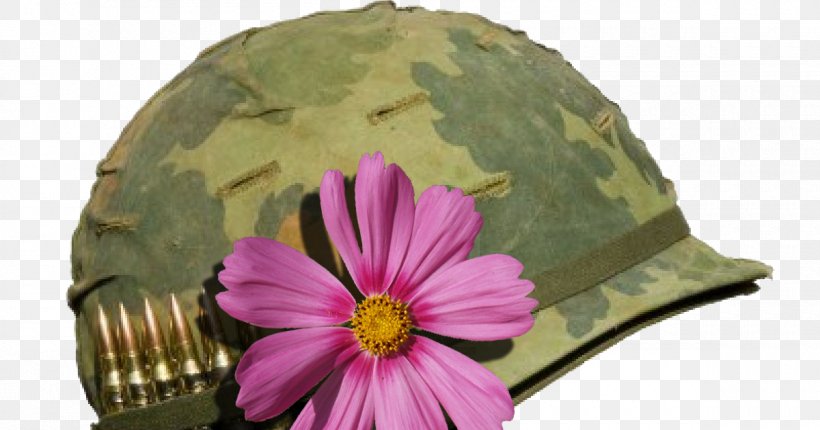 Vietnam War Combat Helmet M1 Helmet, PNG, 1200x630px, Vietnam War, Army, Casco De Combate, Combat Helmet, Cut Flowers Download Free