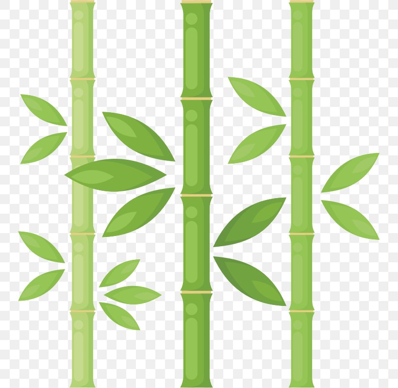 Bamboo Drawing Clip Art, PNG, 745x799px, Bamboo, Bamboe, Drawing, Grass, Grass Family Download Free