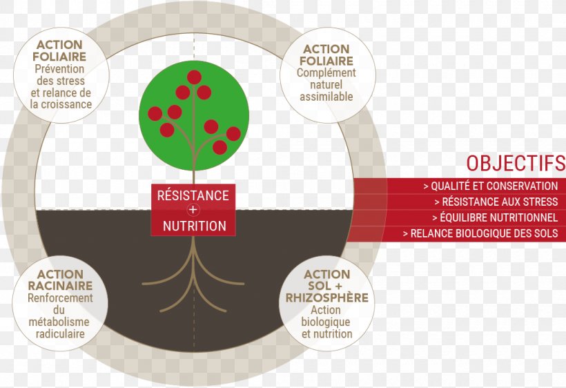 Brand Product Design Diagram, PNG, 1040x713px, Brand, Diagram, Label Download Free