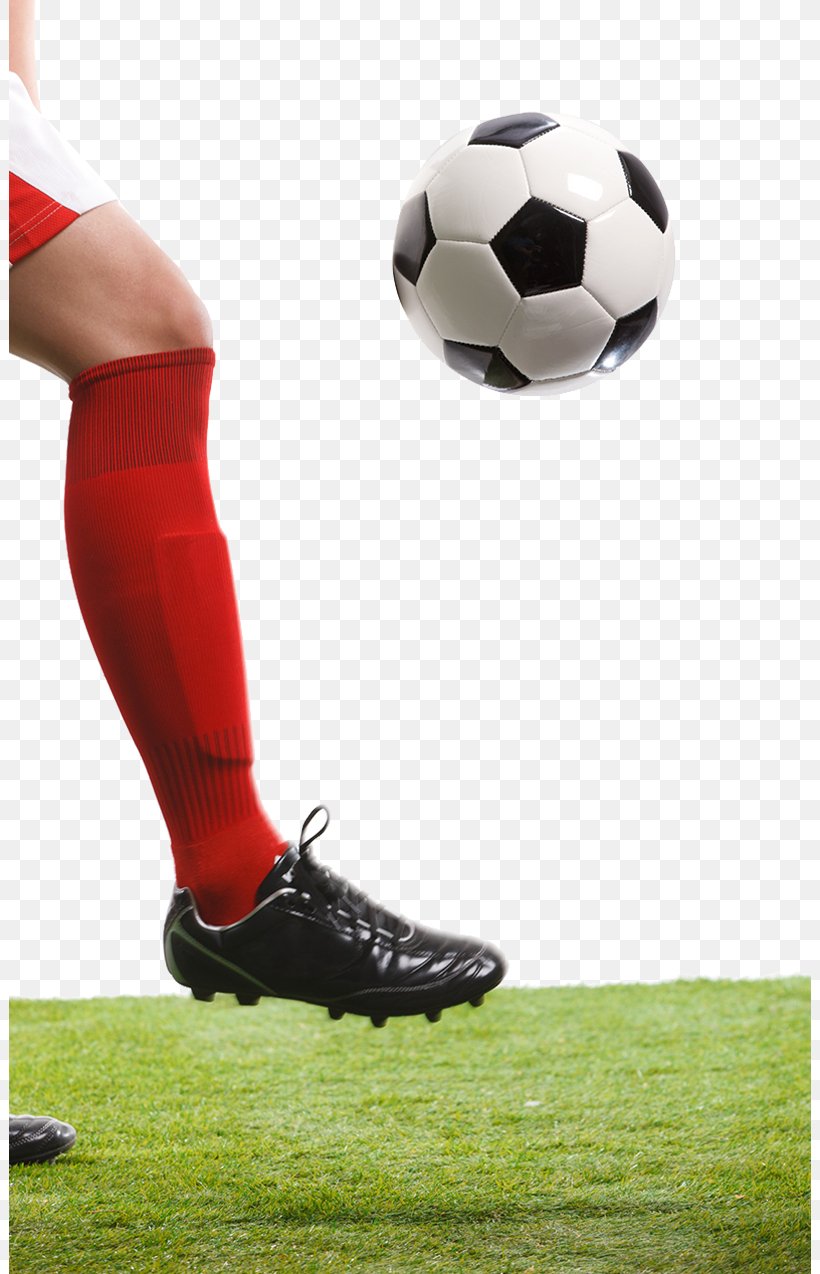 Football Pitch Football Player Icon, PNG, 802x1274px, Football Player, Ball, Football, Football Pitch, Goalkeeper Download Free