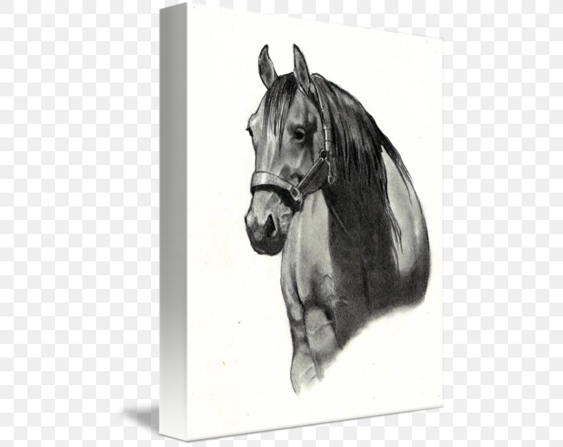 Horse Drawing Paper Sketch, PNG, 483x650px, Horse, Art, Black And White, Bridle, Canvas Print Download Free