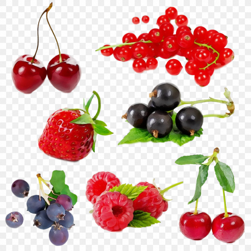 Natural Foods Berry Fruit Cherry Frutti Di Bosco, PNG, 1024x1024px, Watercolor, Accessory Fruit, Berry, Cherry, Food Download Free