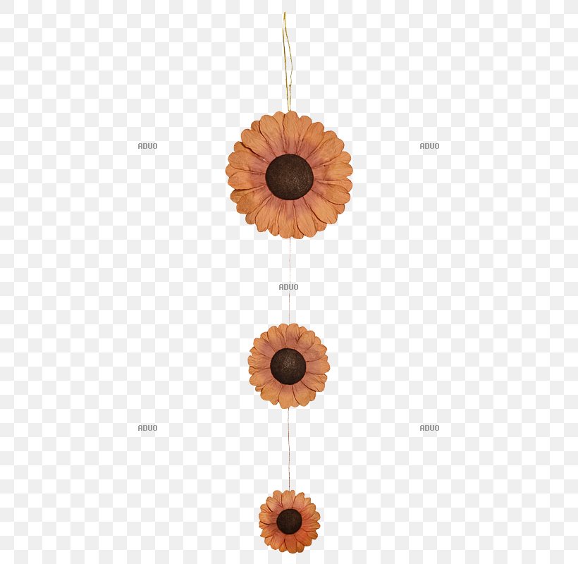 Paper Ehrensperger AG DisplayLand Color Yellow Jewellery, PNG, 800x800px, Paper, Autumn, Ceiling, Color, Flower Download Free