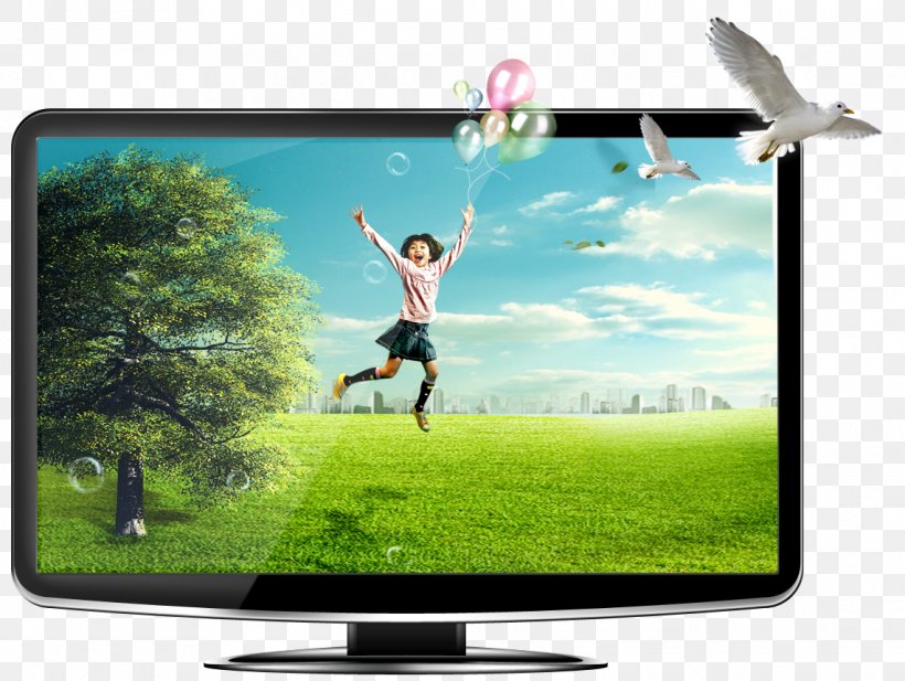 Television Set Ridsys Computer Monitors LCD Television, PNG, 1142x860px, Television Set, Business, Computer Monitor, Computer Monitors, Diagram Download Free