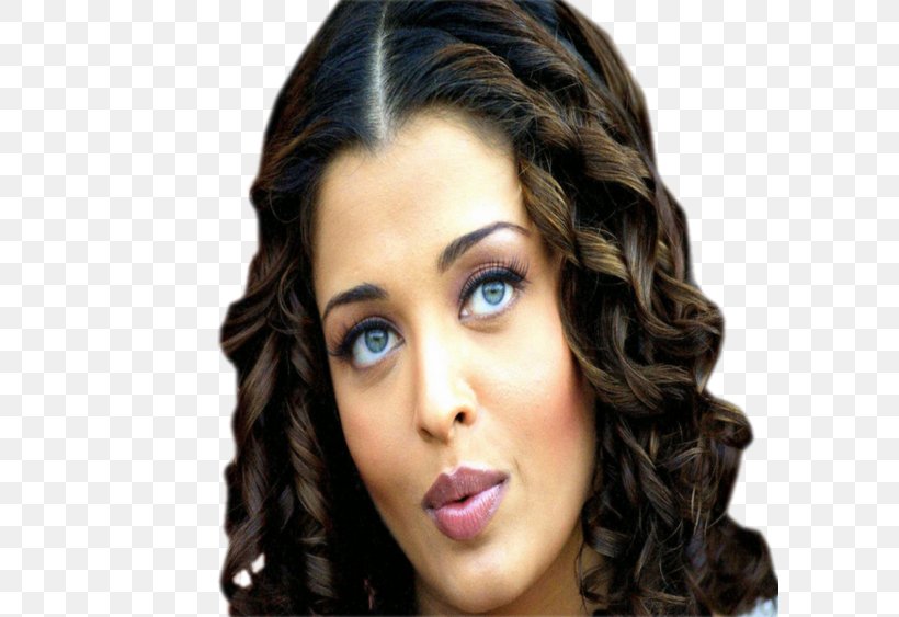 Aishwarya Rai Long Hair Brown Hair Black Hair, PNG, 600x563px, Aishwarya Rai, Artist, Beauty, Black, Black Hair Download Free