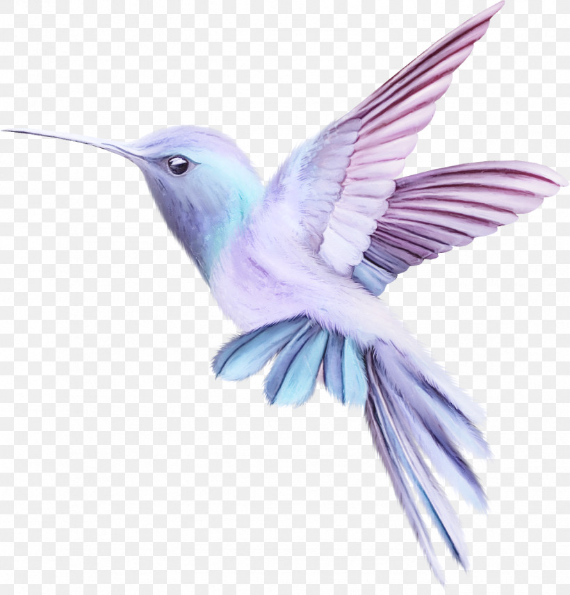 Hummingbird, PNG, 1286x1343px, Hummingbird, Beak, Bird, Mountain Bluebird, Wing Download Free