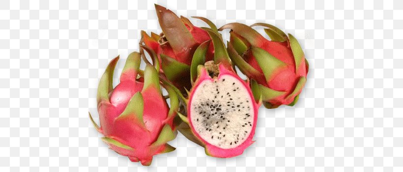 Pitaya South America Fruit .com, PNG, 461x351px, Pitaya, Americas, Com, Dragonfruit, Food Download Free