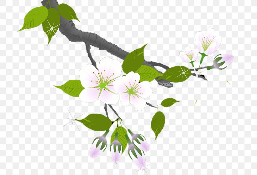 Plum Blossom Flower Twig Wallpaper, PNG, 714x560px, Plum Blossom, Blossom, Branch, Computer, Flora Download Free