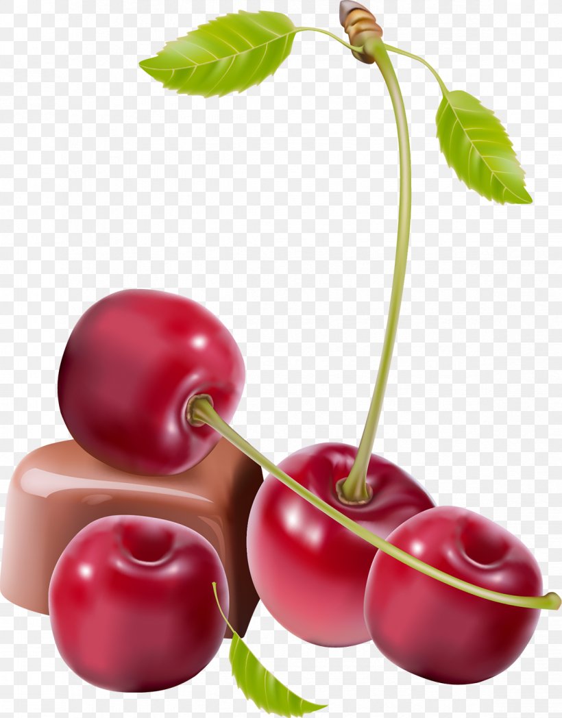 Sweet Cherry Fruit, PNG, 1173x1500px, Cherry, Accessory Fruit, Acerola, Acerola Family, Apple Download Free