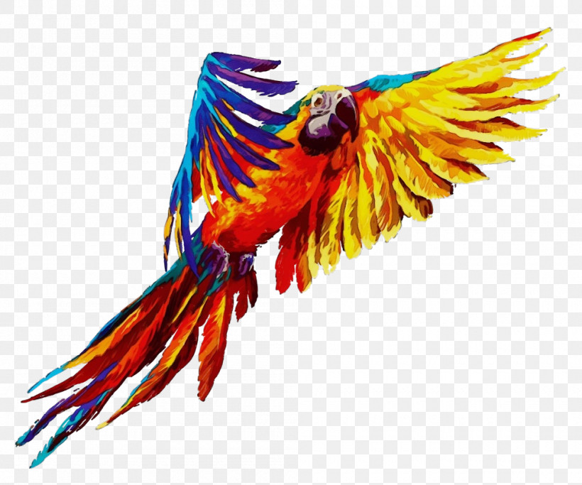 Bird Macaw Wing Parrot Beak, PNG, 1000x833px, Watercolor, Beak, Bird, Budgie, Macaw Download Free