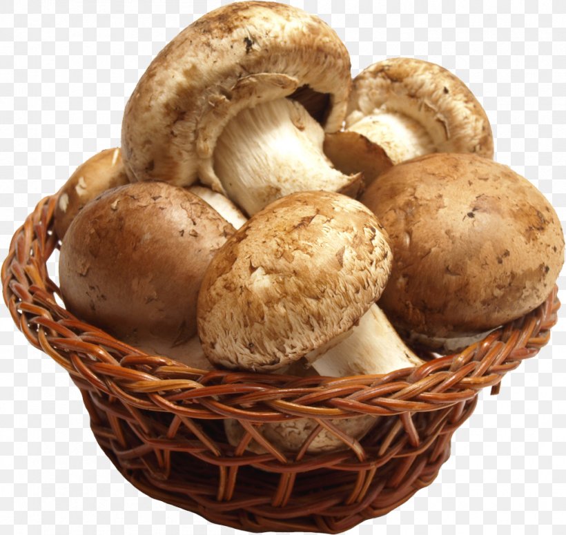 Edible Mushroom Shiitake Morchella Food, PNG, 1004x949px, Mushroom, Agaricaceae, Agaricomycetes, Agaricus, Amanita Download Free