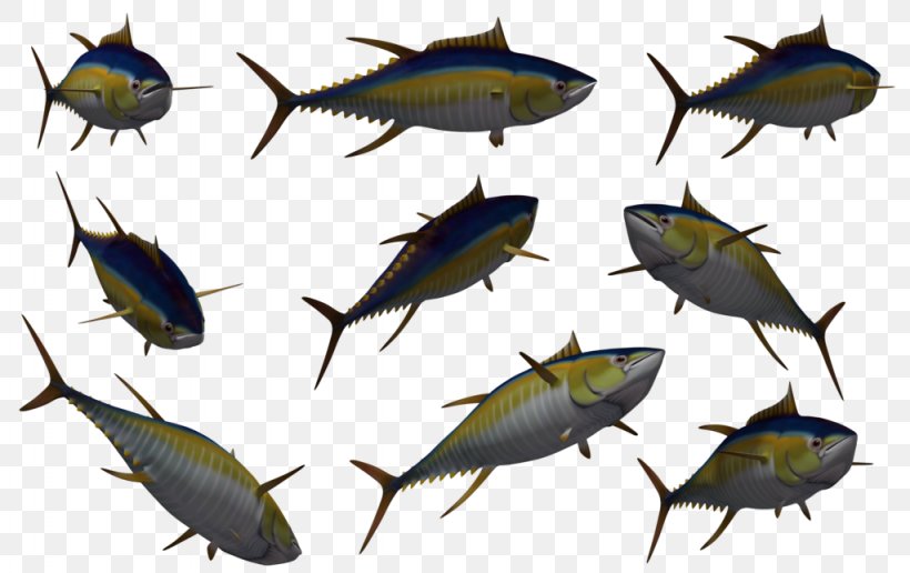 Fish Download 3D Computer Graphics, PNG, 1024x645px, 3d Computer Graphics, Fish, Animal, Bony Fish, Computer Graphics Download Free