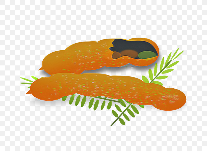 Orange, PNG, 800x600px, Carrot, Baby Carrot, Cuisine, Fish, Food Download Free