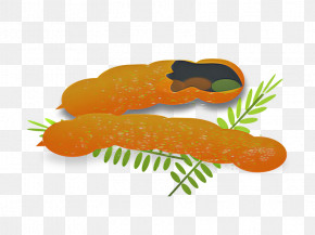 Orange PNG