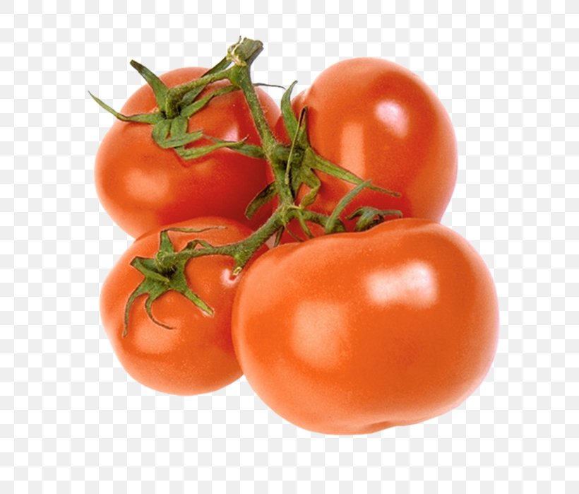 Plum Tomato Bush Tomato Vegetable Vegetarian Cuisine, PNG, 640x699px, Plum Tomato, Advertising, Bush Tomato, Diet Food, Eggplant Download Free