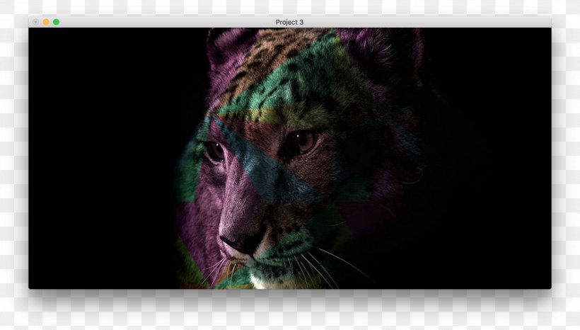 Desktop Wallpaper Cheetah Leopard Lion High-definition Television, PNG,  2272x1292px, 4k Resolution, Cheetah, Big Cat, Big