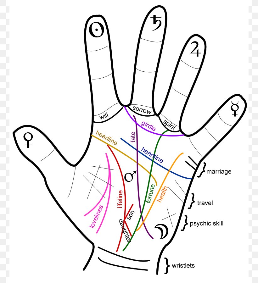 Palmistry For All Future Hand Marriage, PNG, 760x900px, Watercolor, Cartoon, Flower, Frame, Heart Download Free