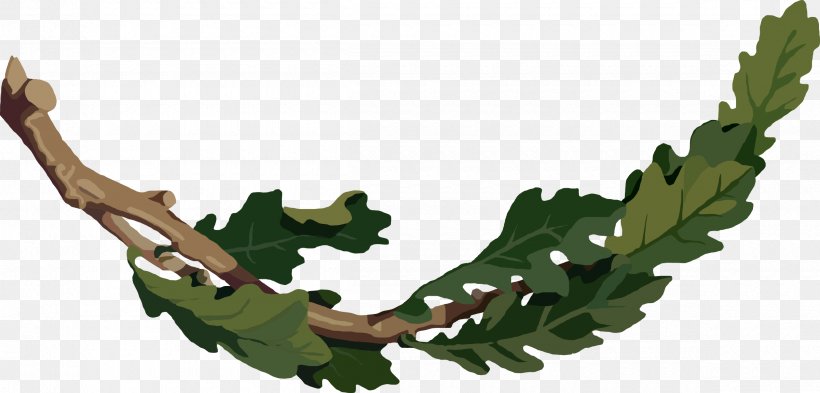 Quercus Berberidifolia Swamp Spanish Oak White Oak Branch Leaf, PNG, 2400x1153px, Quercus Berberidifolia, Acorn, Branch, Leaf, Oak Download Free