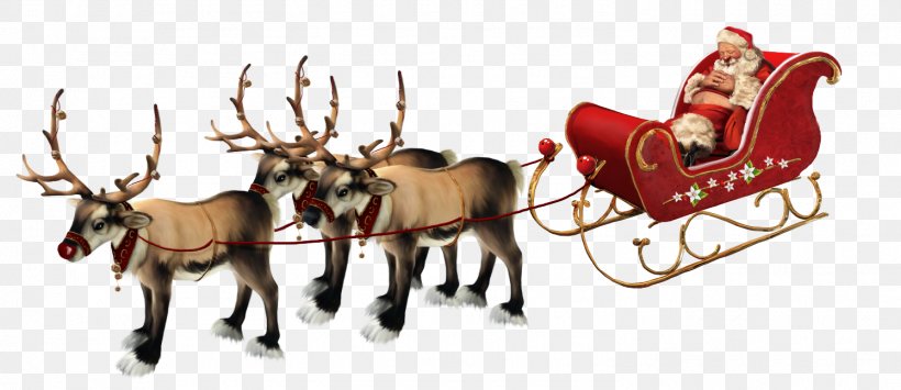 Santa Claus Reindeer Rudolph Père Noël Christmas, PNG, 1495x648px, Santa Claus, Animal Figure, Antler, Christmas, Christmas Ornament Download Free