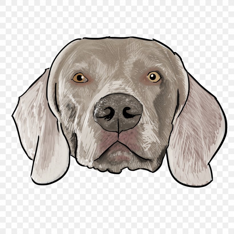 Weimaraner Dog Breed Puppy Boxer Pointer, PNG, 3000x3000px, Weimaraner, Alaskan Malamute, Bluetick Coonhound, Boxer, Breed Download Free