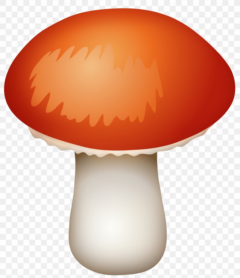 Common Mushroom Fungus Clip Art, PNG, 5125x5948px, Mushroom, Agaricus Arvensis, Animation, Common Mushroom, Computer Graphics Download Free