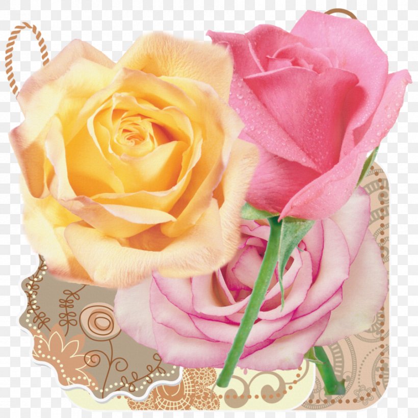 Garden Roses Flower Bouquet Floral Design Cut Flowers, PNG, 900x900px, Garden Roses, Artificial Flower, Cabbage Rose, Cut Flowers, Floral Design Download Free