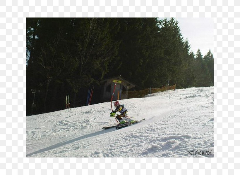 Winter Sport Snow Vehicle Ski, PNG, 800x600px, Winter Sport, Adventure, Adventure Film, Geological Phenomenon, Ski Download Free