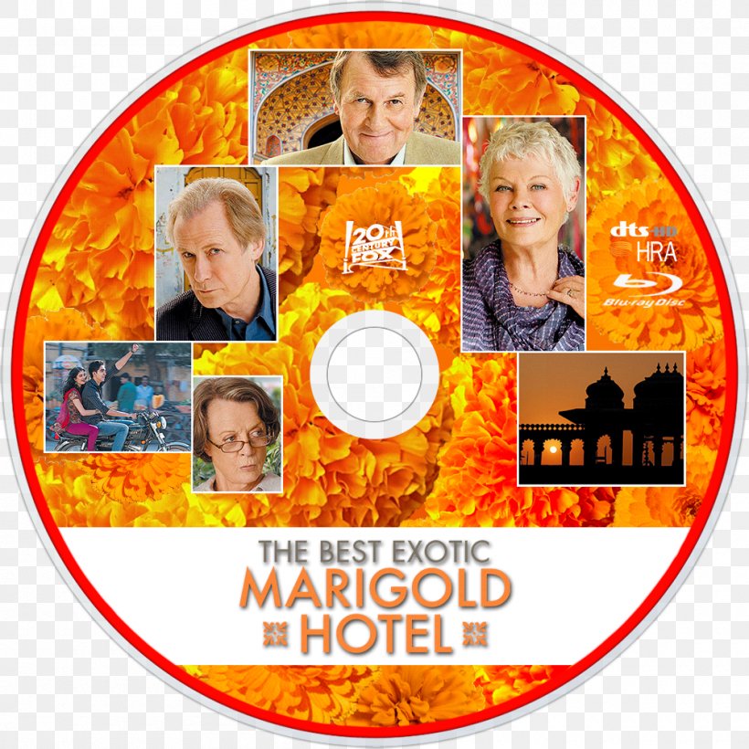 Blu-ray Disc The Best Exotic Marigold Hotel Film Television 20th Century Fox, PNG, 1000x1000px, 20th Century Fox, Bluray Disc, Area, Best Exotic Marigold Hotel, Bill Nighy Download Free