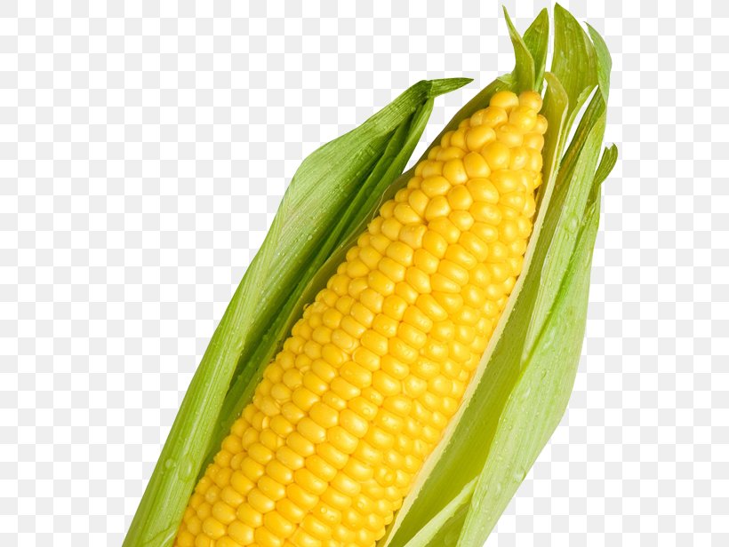 Corn On The Cob Maize 網路商城 Sweet Corn, PNG, 600x616px, Corn On The Cob, Commodity, Corn Kernel, Corn Kernels, Food Download Free