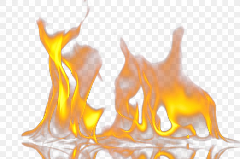 Flame Fire Alcohol Euclidean Vector, PNG, 900x600px, Flame, Alcohol, Alcohol Burner, Alcoholic Drink, Art Download Free