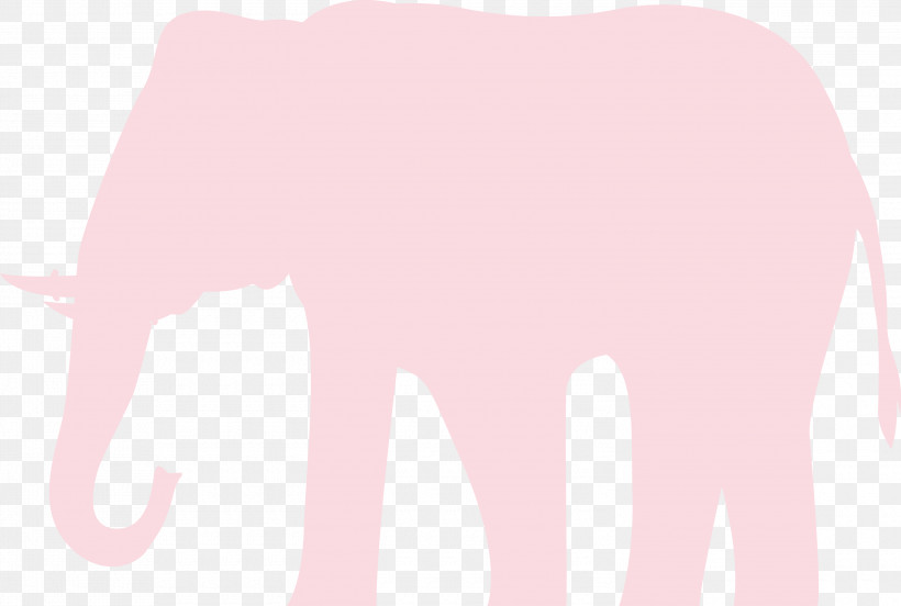 Indian Elephant, PNG, 3000x2022px, Indian Elephant, African Elephants, Computer, Elephant, M Download Free