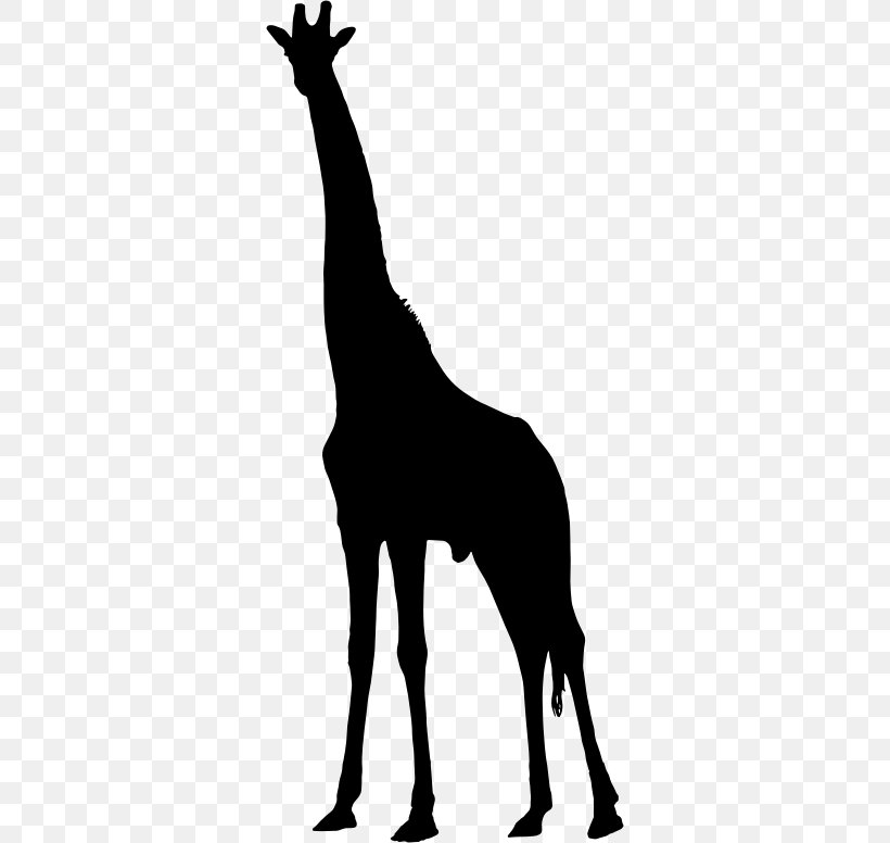 Silhouette West African Giraffe Clip Art, PNG, 330x776px, Silhouette, Animal, Black And White, Drawing, Fauna Download Free