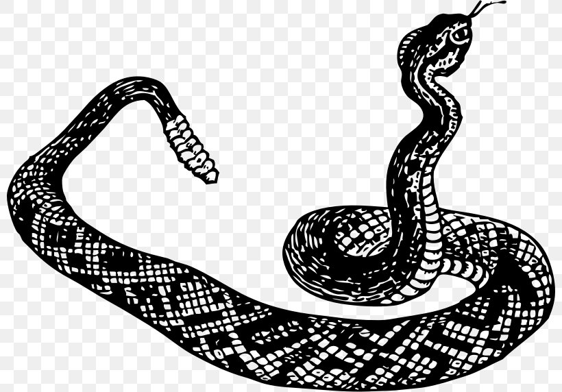 Snake Black And White Vipers Clip Art, PNG, 800x572px, Snake, Black And White, Black Rat Snake, Boa Constrictor, Boas Download Free