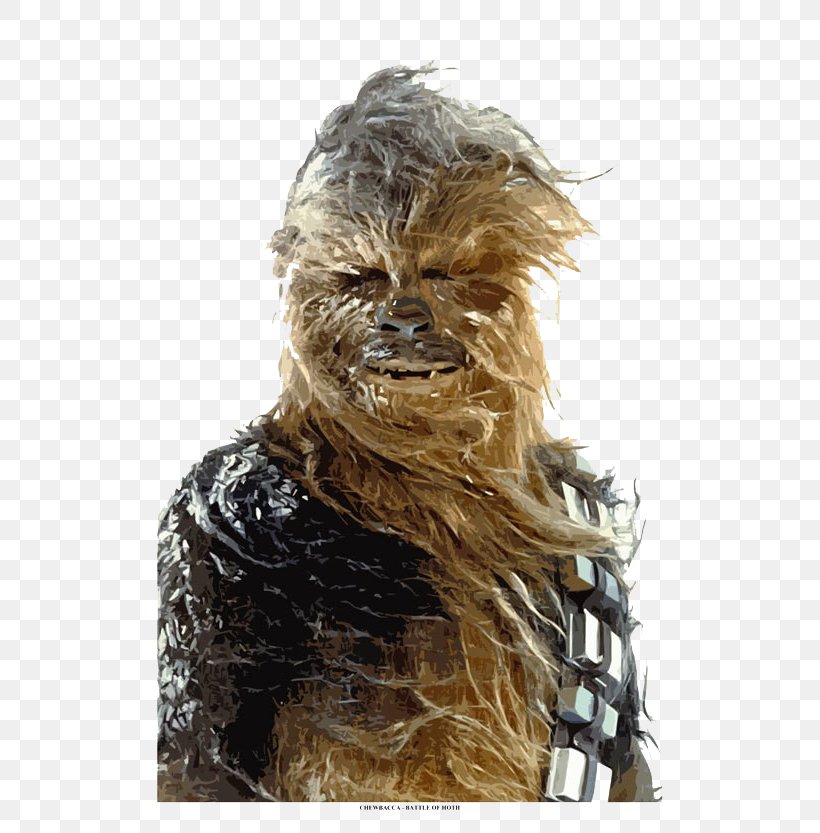 Chewbacca Anakin Skywalker Obi-Wan Kenobi Kyle Katarn Wookiee, PNG, 570x833px, Chewbacca, Anakin Skywalker, Empire Strikes Back, George Lucas, Hoth Download Free