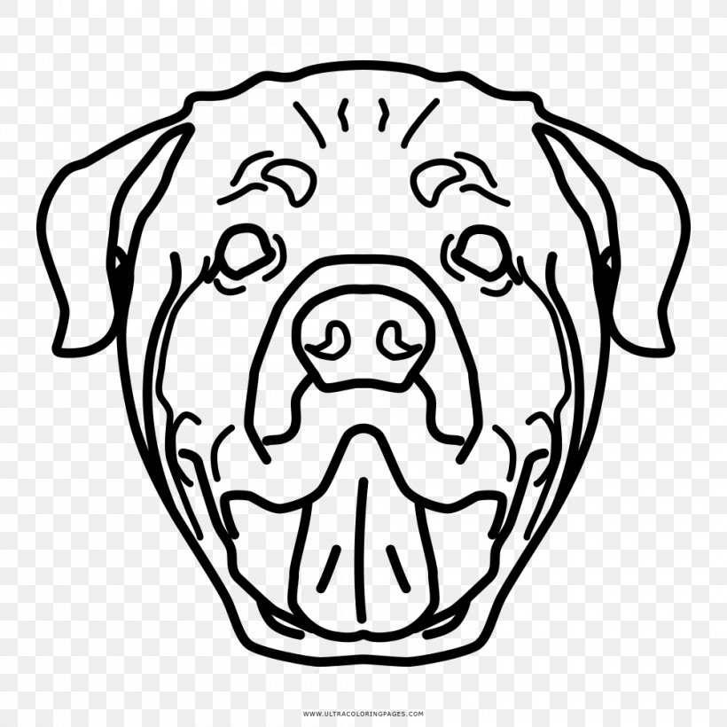 Dog Breed Puppy Rottweiler Snout Drawing, PNG, 1000x1000px, Watercolor, Cartoon, Flower, Frame, Heart Download Free