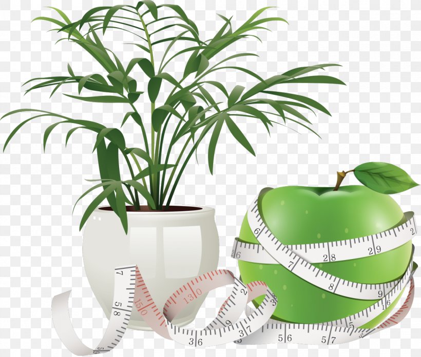 Flowerpot Health Care Woman, PNG, 1205x1024px, Flowerpot, Arecales, Blazer, Company, Computer Software Download Free