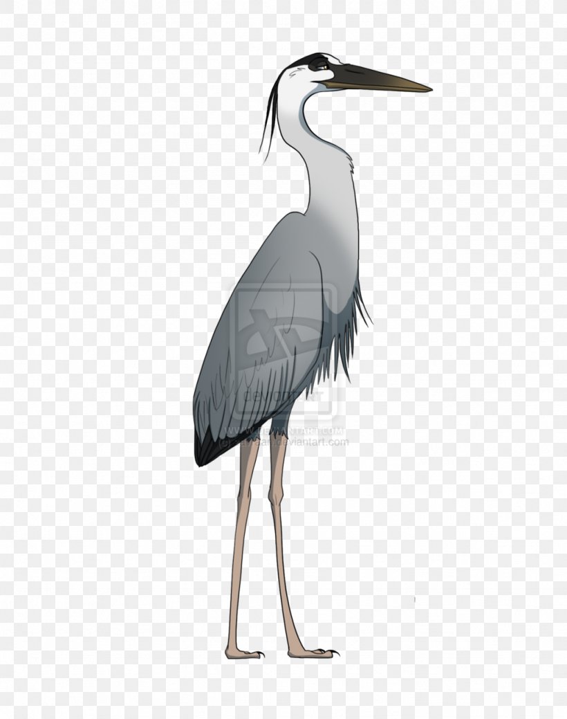 Great Blue Heron Crane Stork Drawing, PNG, 1024x1298px, Heron, Beak, Bird, Black Heron, Ciconiiformes Download Free