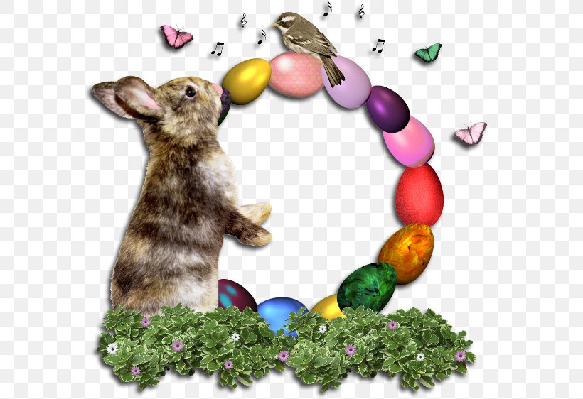 Hare Easter Bunny Rabbit Easter Egg, PNG, 602x562px, Hare, Easter, Easter Bunny, Easter Egg, Egg Download Free