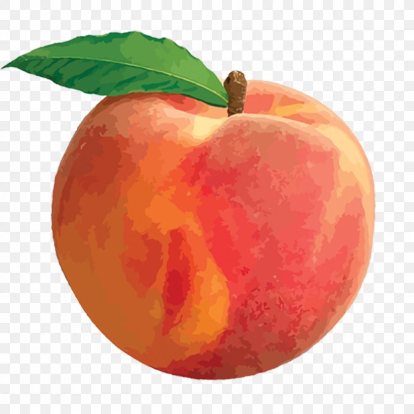 Peach Clip Art, PNG, 1024x1024px, James And The Giant Peach, Apple, Bbcode, Citrus, Diet Food Download Free